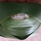 Banana leaf rice with white rice and small portions of curry, dhal, rasam, and papadum arranged on a green leaf